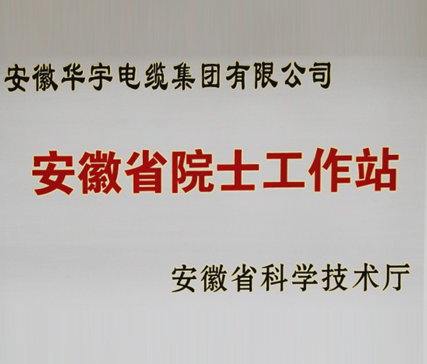 安徽華宇電纜集團有限公司安徽省院士工作站正式獲批